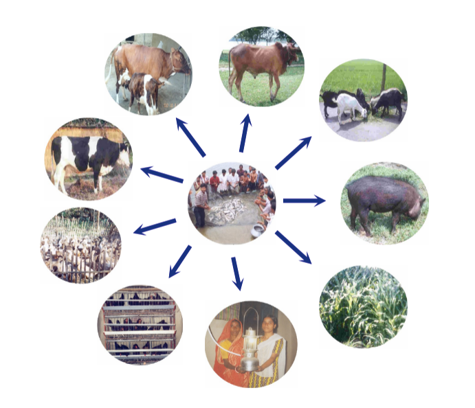 Krishikhamar - 1756707880.png